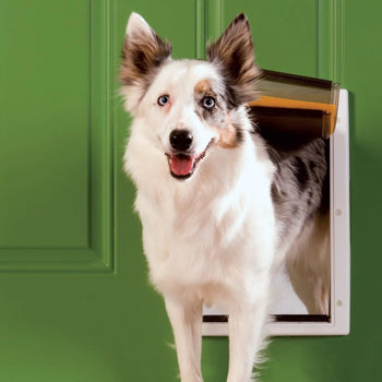 Pet Safe Extreme Weather Pet Door  SALE
