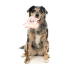 FuzzYard Dog Toy - Meat Heads Piggy Smalls (NEW)