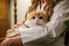 Feline Fresh Scoopable New Packaging & UPC Changes in Transition