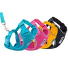 RC Pets Adventure Kitty Harness Marigold