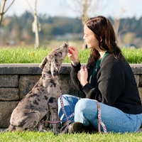 RC Pets Eco Leash Funky Fungi (NEW)