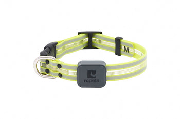 RC Pets Nova LED Light Collar