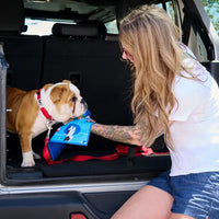 RC Pets Quick Dry Paw Towel