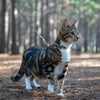 Rogz UrbanCat Control Harness & Lead