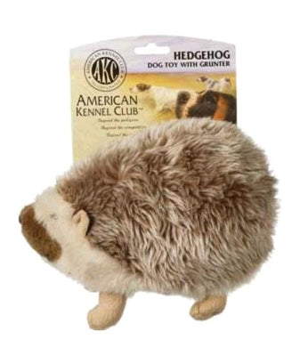 AKC Hedgehog SALE