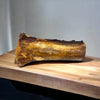 Artisan Farms Marrow Bone (NEW)