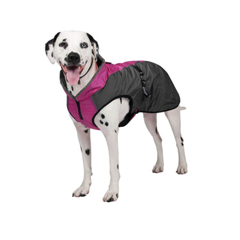 Shedrow K9 Chinook Festival Fuschia
