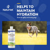 NaturVet® Pet Electrolyte Concentrate for Dogs & Cats 16 oz