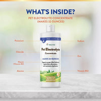 NaturVet® Pet Electrolyte Concentrate for Dogs & Cats 16 oz