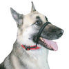 The Sporn Head Halter - XL