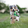 SPOT® Tabbie Soccer Ball Dog Toy