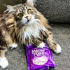 Stella & Chewy's® Meowfulls™ Sustainably Sourced Whitefish & Salmon Recipe Freeze-Dried Raw Cat Treats 1.5oz