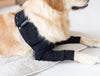 Suitical Recovery Double Sleeve Dog Black (NEW)