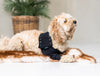 Suitical Recovery Double Sleeve Dog Black (NEW)