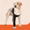 Suitical Recovery Sleeve Dog Black (NEW)