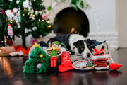 P.L.A.Y Merry Woofmas Collection