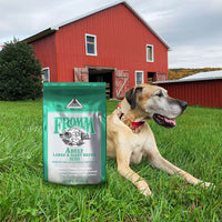 Fromm® Classic Adult Large & Giant Breed Dry Dog Food SALE