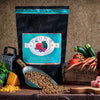 Fromm Four-Star Salmon Tunalini Dog Food SALE