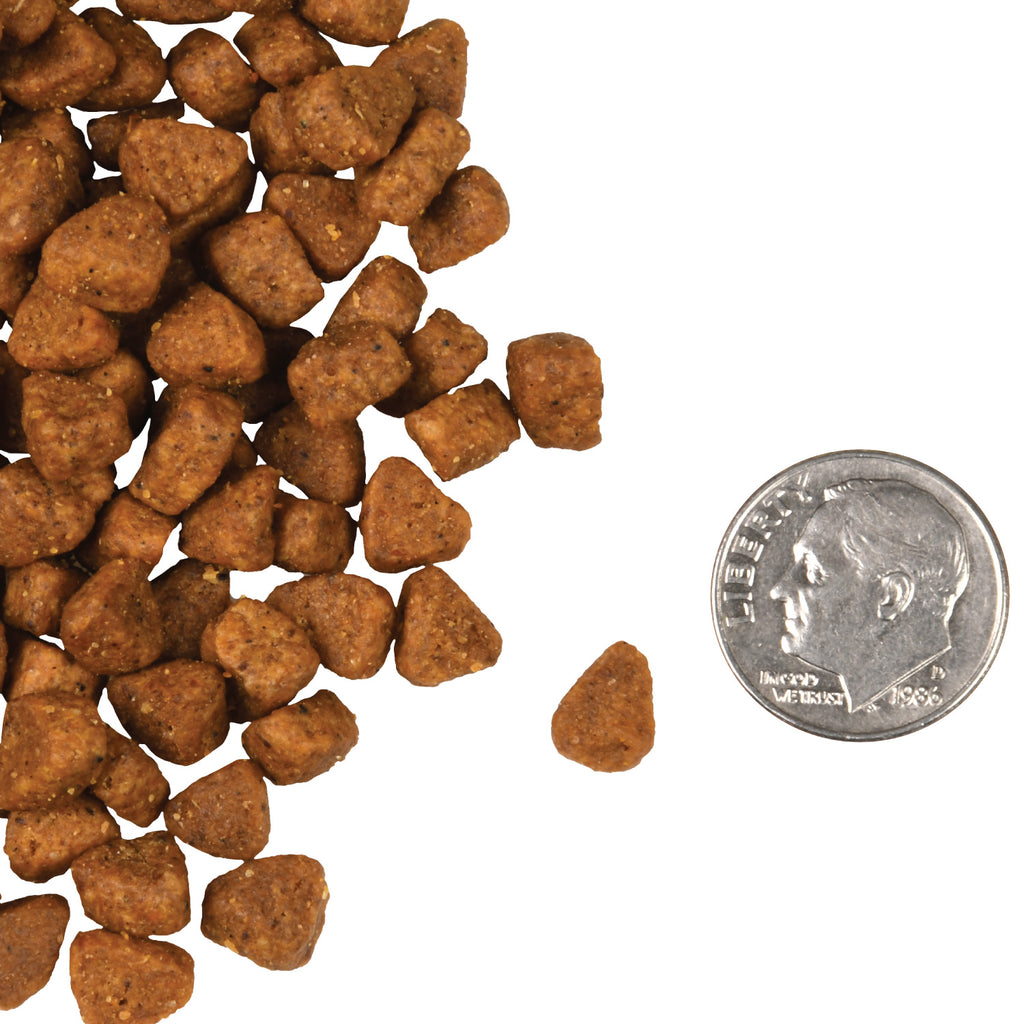 Fromm Chicken au Frommage Dry Cat Food Natural Pet Foods