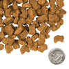Fromm Four-Star Lamb and Lentil Dog Food SALE