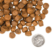 Fromm Four-Star Surf and Turf Dog Food SALE