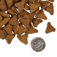 Fromm Four-Star Whitefish & Potato Dog Food SALE