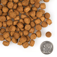 Fromm Gold Large Breed Puppy Dog Food