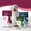 Fromm Nutritionals Sensitive Skin & Stomach