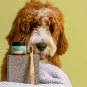 Black Sheep Organics Toothpaste for Dogs (NEW)