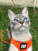 Travel Cat "The True Adventurer" Reflective Cat & Kitten Harness and Leash