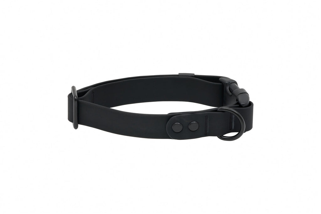 RC Pets Waterproof Collar Black