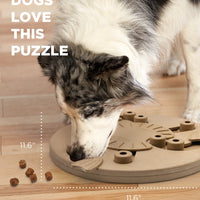 Outward Hound® Nina Ottosson® Dog Worker Composite Dog Puzzle