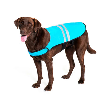 Zippy Paws Cooling Vest SALE