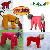 Muttluks Dog Snowsuit