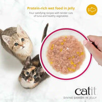 Catit Divine Shreds - Chicken with Tuna & Carrot in Jelly - 4 x 85 g Cans