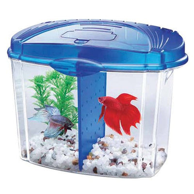 Aqueon Bowl Aquarium Kit - Blue - 0.5 Gal - Natural Pet Foods
