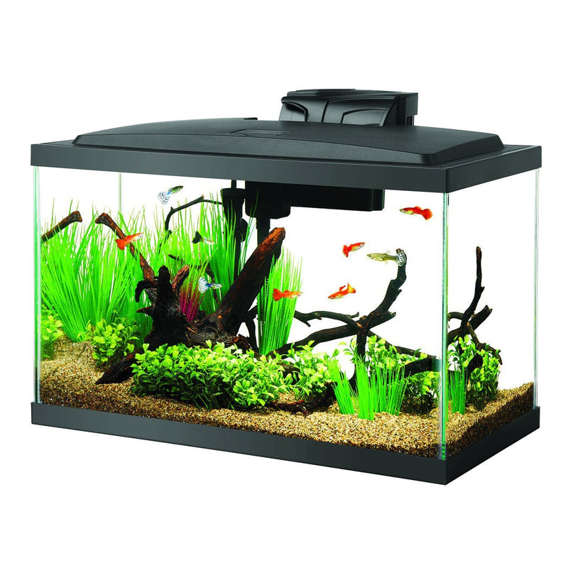 Custom, LED and Acrylic plastic aquarium tank small Aquariums