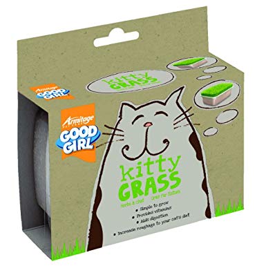 Armitage Good Girl - Kitty Grass - Natural Pet Foods