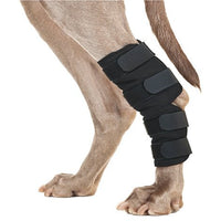 Back On Track - Therapeutic Dog Hock Brace - Natural Pet Foods