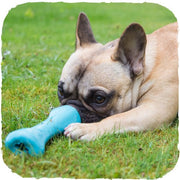 Beco Bone - Blue Dog Bone Toy - Natural Pet Foods