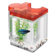 Betta Puzzle Aquarium Kit - Red17 - Natural Pet Foods