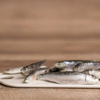 Big Country Raw Sardines 1 lb Frozen - Natural Pet Foods