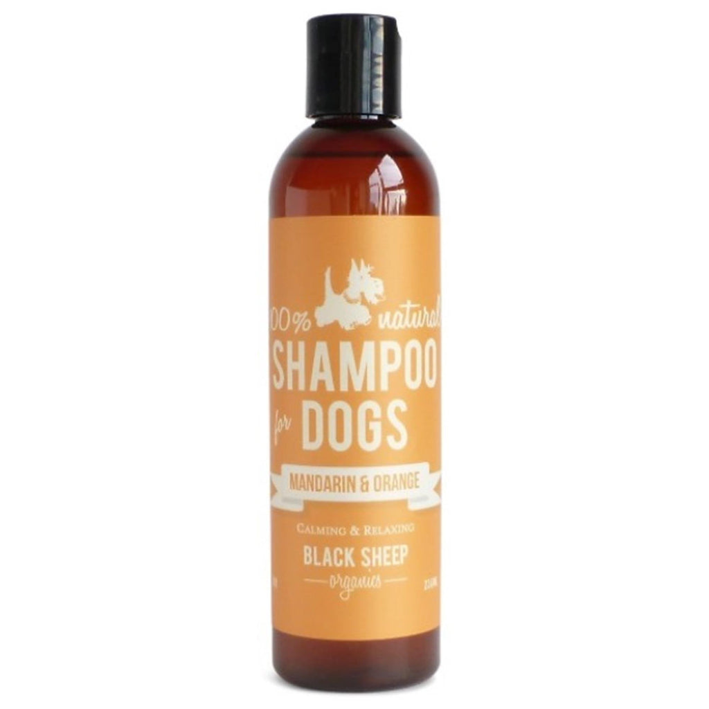 Black Sheep Organics - Mandarin & Orange Shampoo - Natural Pet Foods