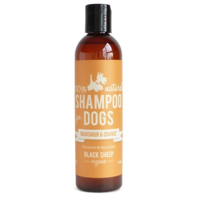 Black Sheep Organics - Mandarin & Orange Shampoo - Natural Pet Foods