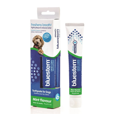 Bluestem Oral Care Vanilla-Mint Flavored Toothpaste & Toothbrush Combo Pack 70g Dog - Natural Pet Foods
