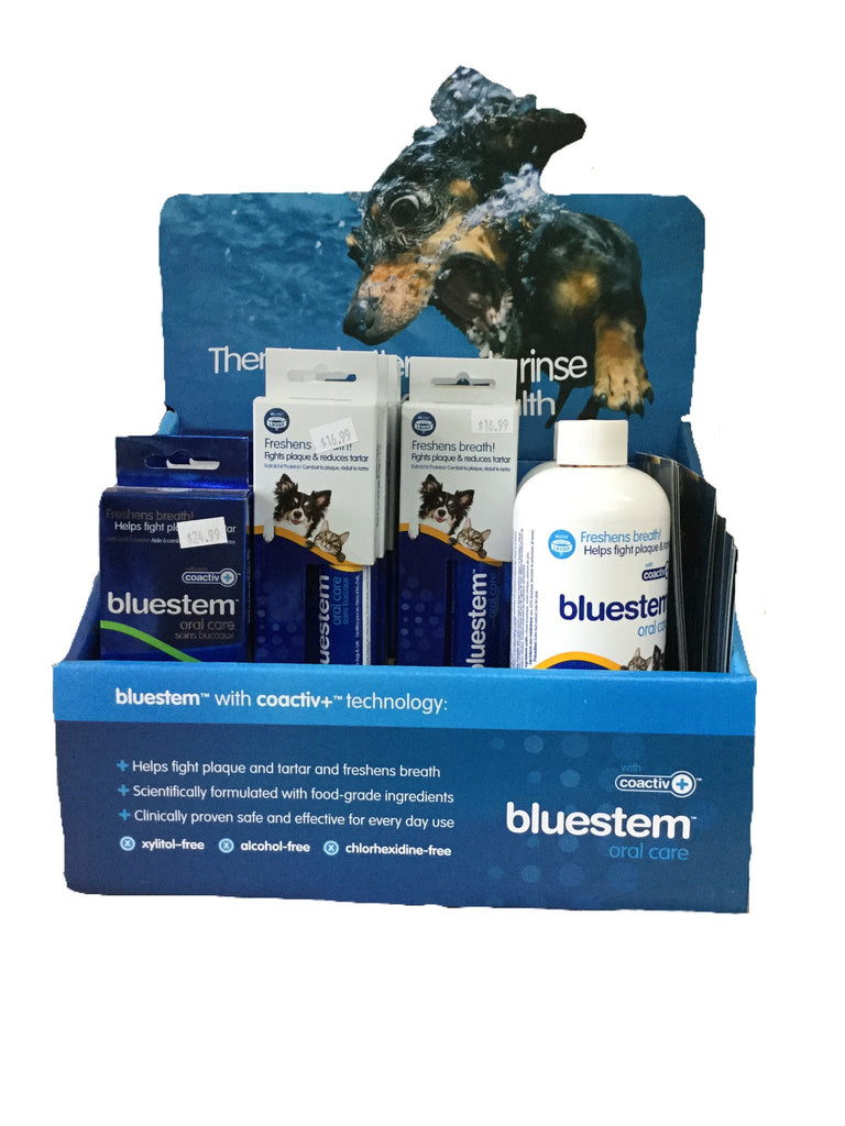 Bluestem Toothpaste - Chicken Flavour Toothpaste & Toothbrush | Natural ...