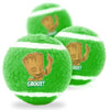 Buckle-Down Squeaky Tennis Ball 3 Pack – GROOT! Happy Pose - Natural Pet Foods