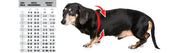 Buddy Belts - The Ultimate Harness - Red - Natural Pet Foods