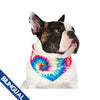 Canada Pooch Cooling Bandana Tie Out (NEW) - Natural Pet Foods