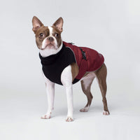Canada Pooch - Expedition Coat - Red SALE - Natural Pet Foods